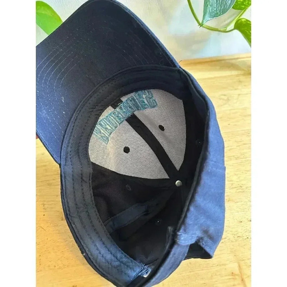 Hudson Valley Renegades Minor league Baseball Hat - Picture 6 of 8